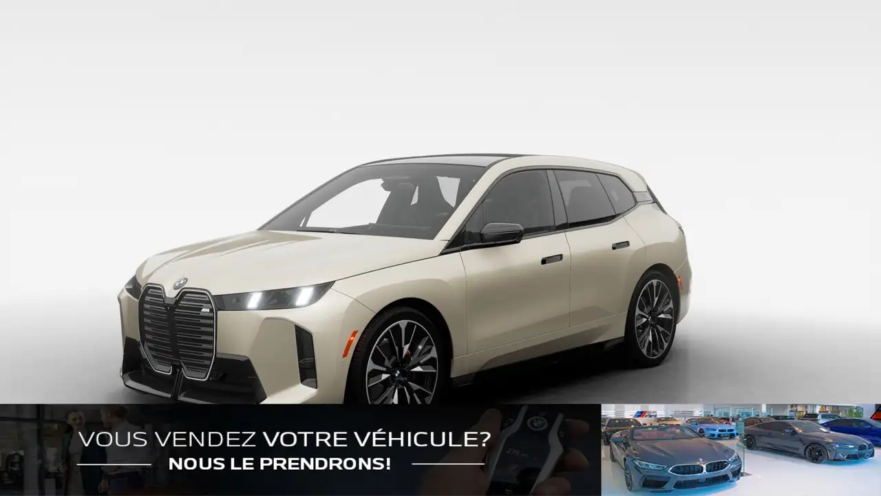 2026 BMW iX