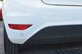 Ford Fiesta 1.25 Titanium Xenon / PDC / 77Dkm / Garantie Wit - thumbnail 9