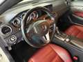 Mercedes-Benz C 250 CDI BlueEfficiency  Top Ausstattung History voll. Weiß - thumbnail 20