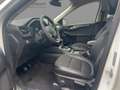 Ford Kuga Titanium X AHK schwen. ACC FRONTKAMERA Weiß - thumbnail 8