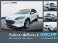 Ford Kuga Titanium X AHK schwen. ACC FRONTKAMERA Blanco - thumbnail 1