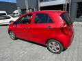 Kia Picanto Picanto  5-Türer 1.2 Spirit Rot - thumbnail 3