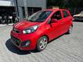 Kia Picanto Picanto  5-Türer 1.2 Spirit Rot - thumbnail 4