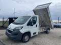 Peugeot Boxer 2,2 L HDI/ Benne / 14.500 euros HORS TVA! Blanco - thumbnail 1