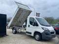 Peugeot Boxer 2,2 L HDI/ Benne / 14.500 euros HORS TVA! Blanc - thumbnail 2