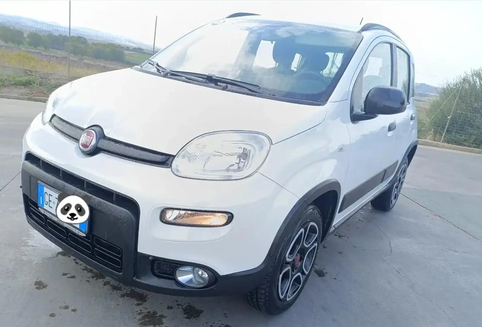 Fiat Panda Fiat Panda 0.9 TwinAir Turbo Natural Power City Li Bianco - 1