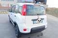 Fiat Panda Fiat Panda 0.9 TwinAir Turbo Natural Power City Li Bianco - thumbnail 5