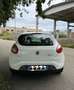 Fiat Bravo 1.6 mjt Dynamic 105cv FL - thumbnail 6