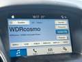 Ford Focus Titanium 1.5 Apple CarPlay, Garantie, Sitzheizung Červená - thumbnail 15