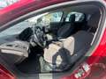 Ford Focus Titanium 1.5 Apple CarPlay, Garantie, Sitzheizung Červená - thumbnail 9