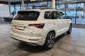 Skoda Karoq 2.0 TSI DSG 4x4 Sportline AHK 19 ACC 5JGAR Weiß - thumbnail 5