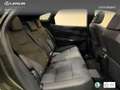 Lexus RX 450h 450h+ Executive Verde - thumbnail 7