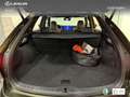 Lexus RX 450h 450h+ Executive Verde - thumbnail 9