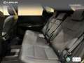 Lexus RX 450h 450h+ Executive Verde - thumbnail 16