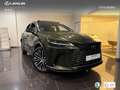 Lexus RX 450h 450h+ Executive Verde - thumbnail 13