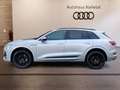 Audi e-tron 55 quattro S line MATRIX-LED NAVI+ 21''AIR HEAD-UP Silber - thumbnail 3