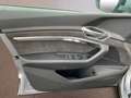 Audi e-tron 55 quattro S line MATRIX-LED NAVI+ 21''AIR HEAD-UP Silber - thumbnail 20