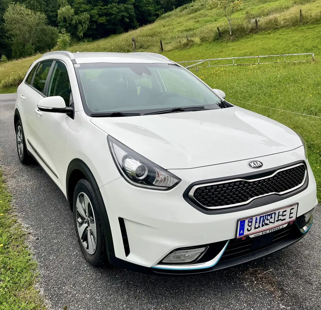 Kia Niro 1,6 GDI Plug-In Hybrid PHEV Silber DCT Alb - 1