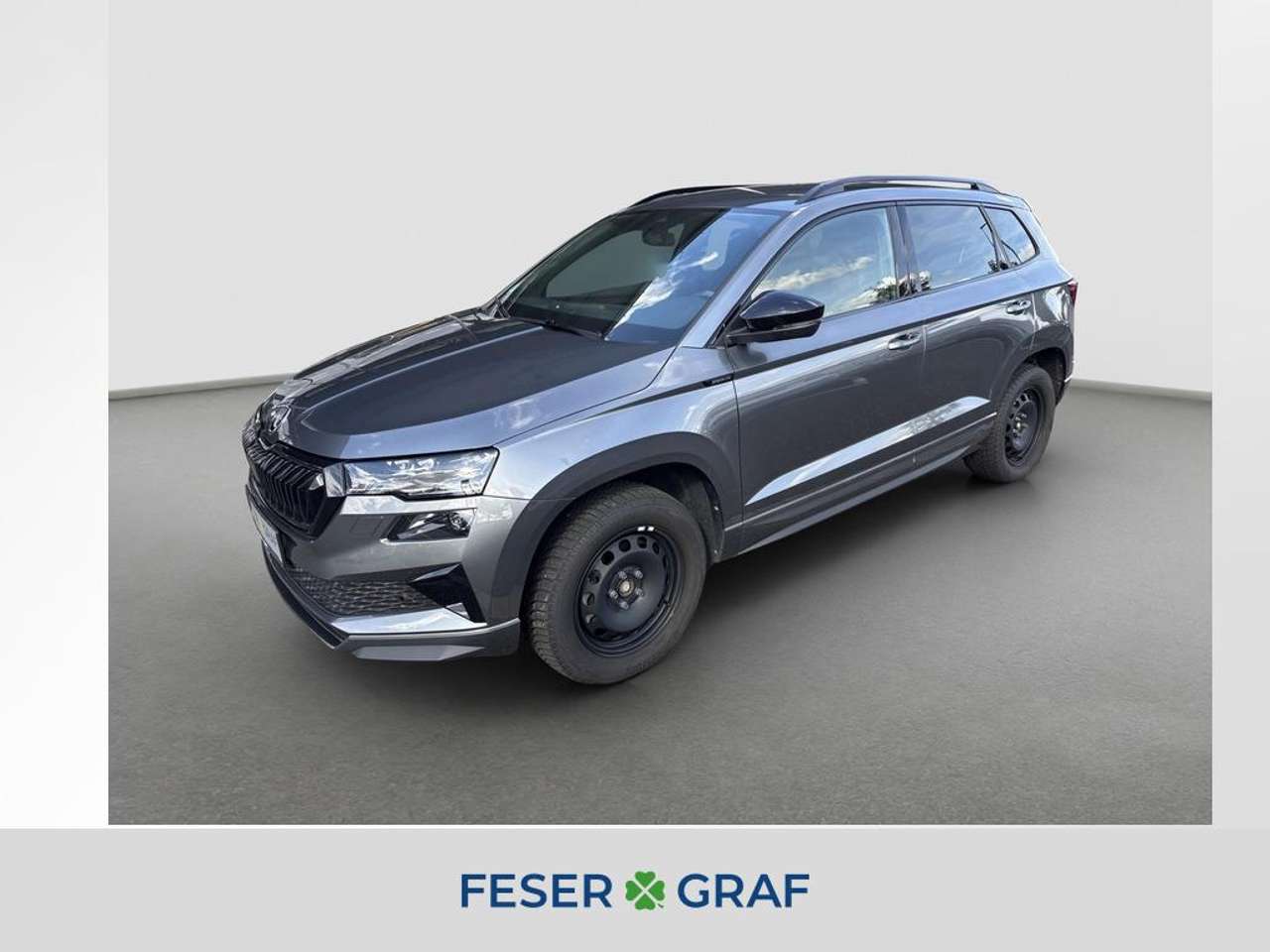Skoda Karoq 2025