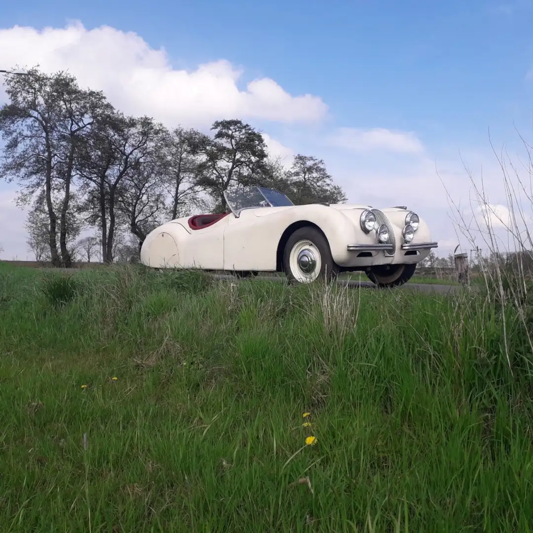 Jaguar XK XK 120 Roadster Blanc - 1