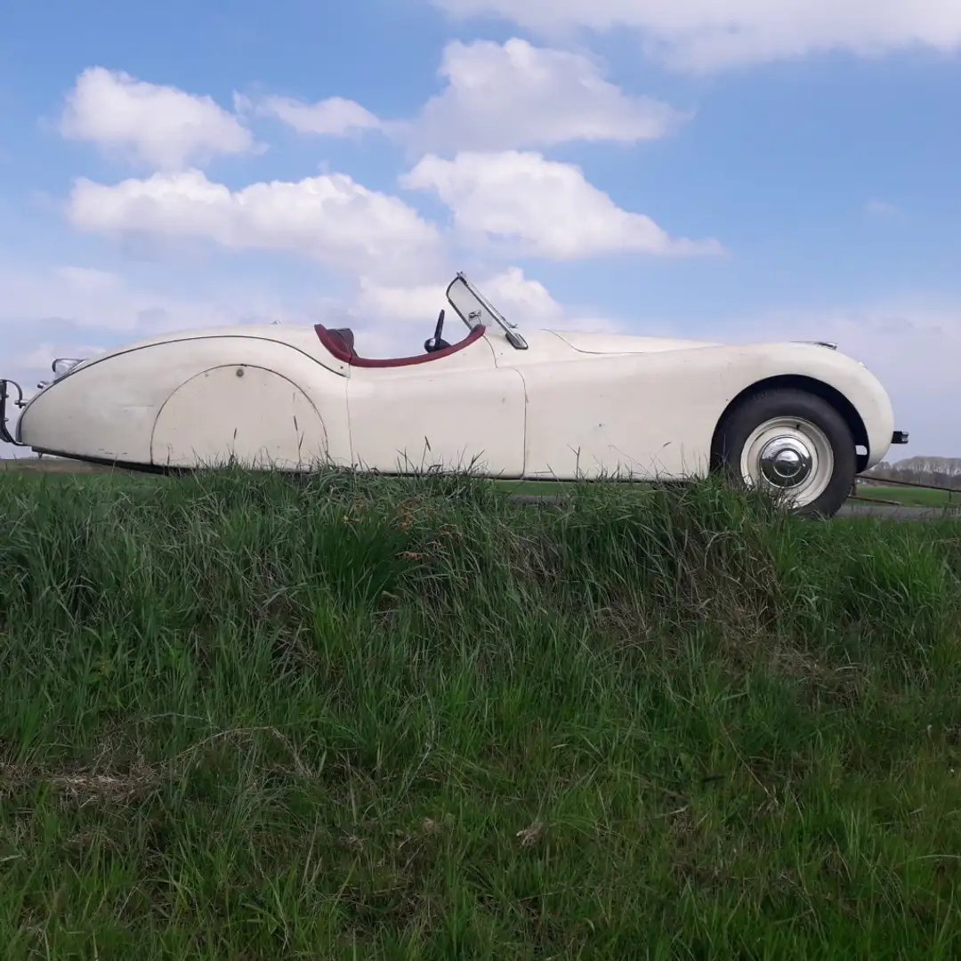 Jaguar XK XK 120 Roadster Blanc - 2