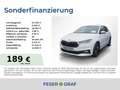 Skoda Fabia Tour DSG LED,SHZ,SMARTLINK Blanco - thumbnail 1