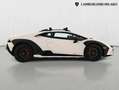 Lamborghini Huracán STERRATO - SOLO 2500KM - IVA ESPOSTA Blanc - thumbnail 3