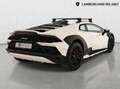 Lamborghini Huracán STERRATO - SOLO 2500KM - IVA ESPOSTA Blanc - thumbnail 4