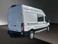 Ford Transit Mixto 350 L3H3 5-Sitze AHK 3,5t AppelCar Bianco - thumbnail 5