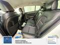 Kia Sportage Spirit 4WD Weiß - thumbnail 22