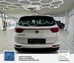 Kia Sportage Spirit 4WD Weiß - thumbnail 16