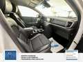 Kia Sportage Spirit 4WD Weiß - thumbnail 21
