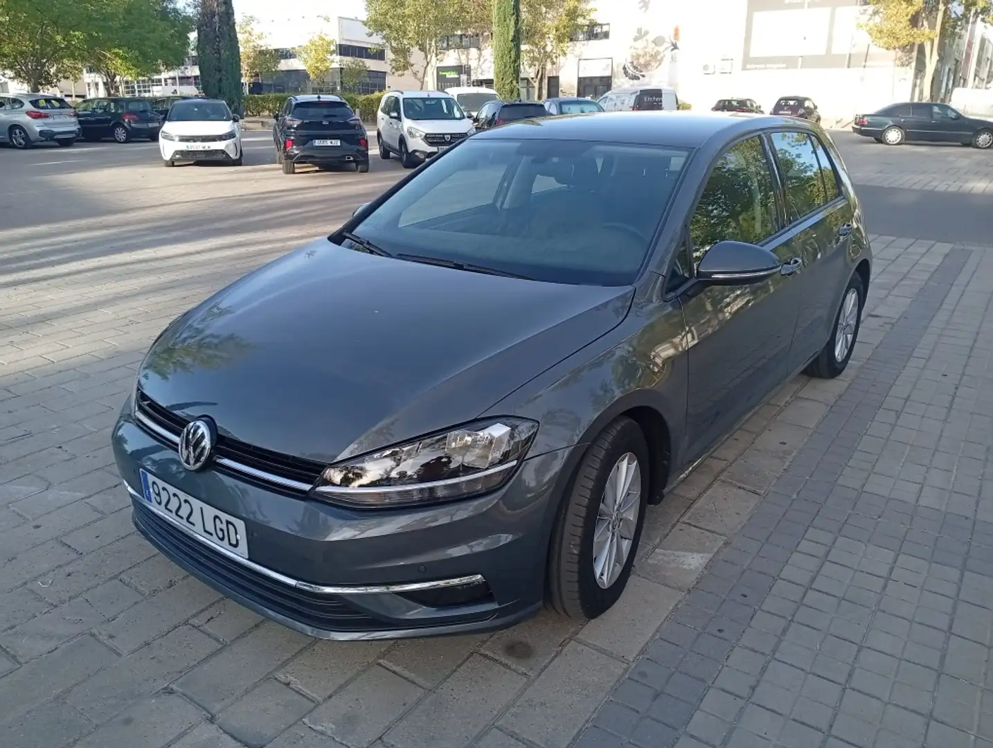 Volkswagen Golf 1.6TDI Edition 85kW Gris - 2