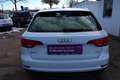 Audi A4 Avant 2,0 TDI Design Weiß - thumbnail 6