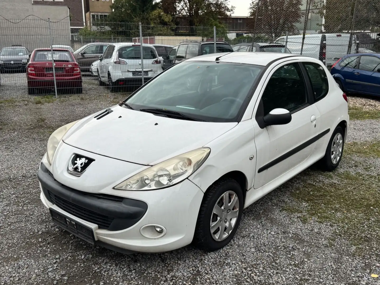 Peugeot 206 + Basis Weiß - 1