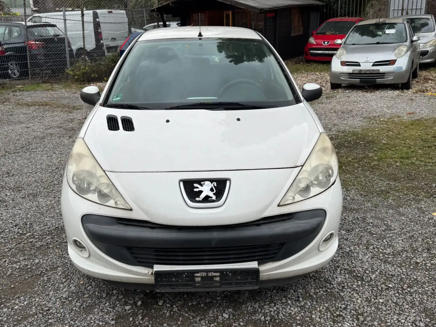 Peugeot 206 + Basis Weiß - 2