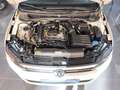 Volkswagen Polo 1.0 TSI United 85kW Blanc - thumbnail 16