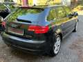 Audi A3 A3 II  Sportback 2.0 tdi Ambiente GARANZIA 1 ANNO Noir - thumbnail 4