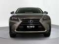 Lexus NX 300 300h Executive 4WD Tecno + Navibox - thumbnail 5