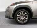 Lexus NX 300 300h Executive 4WD Tecno + Navibox - thumbnail 16