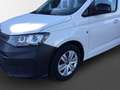 Volkswagen Caddy 2,0 TDi Ledersitze PDC SHZ Gummibodenbelag Weiß - thumbnail 4