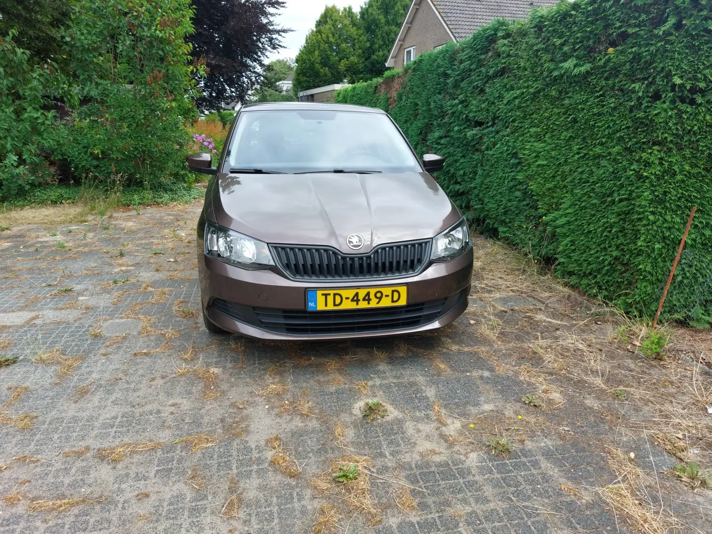 Skoda Fabia Fabia 1.0 Active Bruin - 1