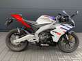 Aprilia RS 125 RS 125 E5 WEISS Mj. 2024 Blanc - thumbnail 4