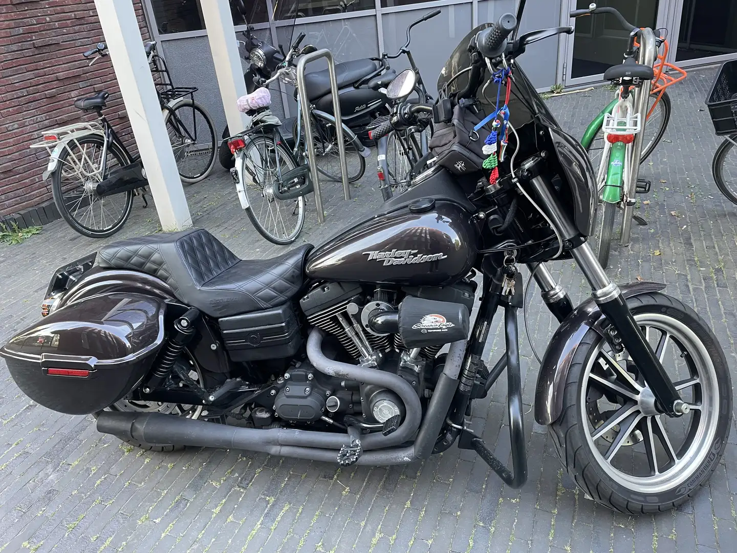 Harley-Davidson Street Bob Club Style - 1