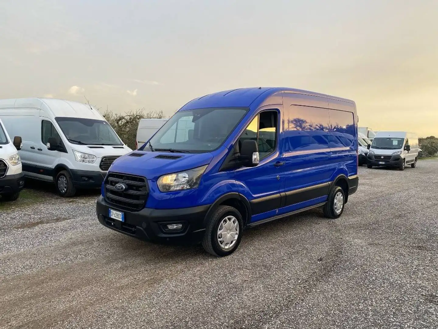 Ford Transit 290 2.0 tdci MHEV 130cv trend L2H2 E 6.2 Blu/Azzurro - 2