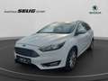 Ford Focus Turnier 1,0 EcoBoost 125 PS Titanium, Navi Білий - thumbnail 1