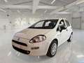 Fiat Punto Punto 5p 1.3 mjt Street s&s 95cv Blanc - thumbnail 1