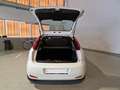 Fiat Punto Punto 5p 1.3 mjt Street s&s 95cv Blanc - thumbnail 6
