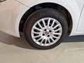 Fiat Punto Punto 5p 1.3 mjt Street s&s 95cv Blanc - thumbnail 15
