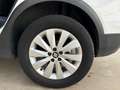 SEAT Arona 1.0 TSI Ecomotive S&S Style 115 Blanco - thumbnail 18